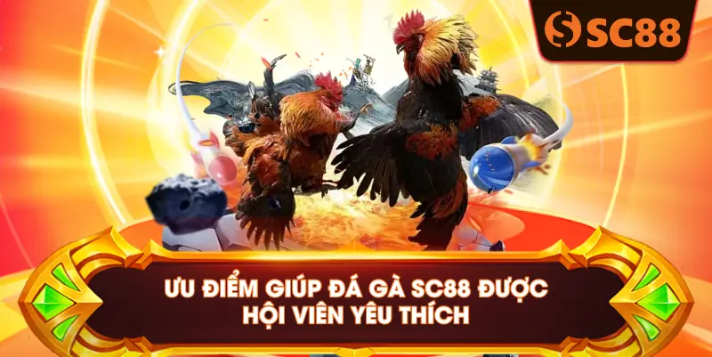 ƯU ĐIỂM GIÚP ĐÁ GÀ SC88 ĐƯỢC HỘI VIÊN YÊU THÍCH